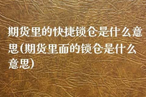 期货里的快捷锁仓是什么意思(期货里面的锁仓是什么意思)_https://www.zztgc.com_期货入门_第1张