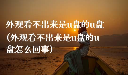 外观看不出来是u盘的u盘(外观看不出来是u盘的u盘怎么回事)_https://www.zztgc.com_原油期货_第1张