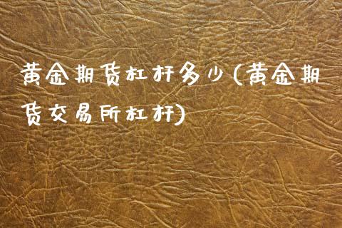黄金期货杠杆多少(黄金期货交易所杠杆)_https://www.zztgc.com_期货入门_第1张