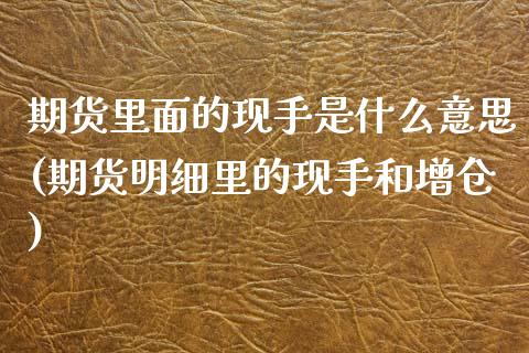 期货里面的现手是什么意思(期货明细里的现手和增仓)_https://www.zztgc.com_期货入门_第1张