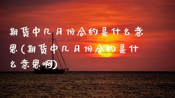 期货中几月份合约是什么意思(期货中几月份合约是什么意思啊)_https://www.zztgc.com_黄金期货_第1张