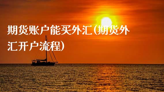 期货账户能买外汇(期货外汇开户流程)_https://www.zztgc.com_黄金期货_第1张