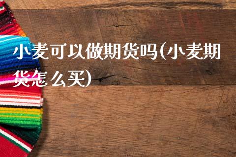 小麦可以做期货吗(小麦期货怎么买)_https://www.zztgc.com_期货入门_第1张