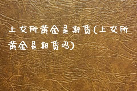 上交所黄金是期货(上交所黄金是期货吗)_https://www.zztgc.com_期货入门_第1张