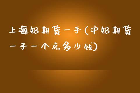 上海铝期货一手(沪铝期货一手一个点多少钱)_https://www.zztgc.com_期货开户_第1张