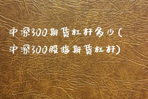 沪深300期货杠杆多少(沪深300股指期货杠杆)_https://www.zztgc.com_黄金期货_第1张