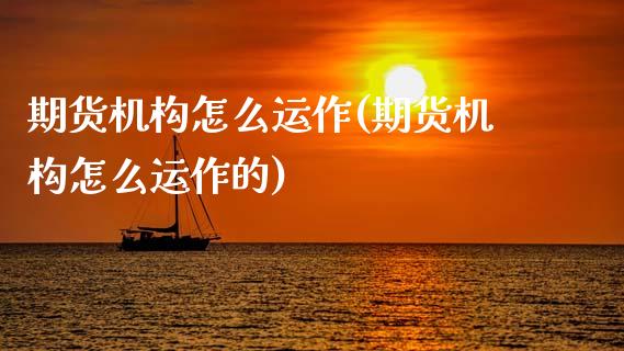 期货机构怎么运作(期货机构怎么运作的)_https://www.zztgc.com_原油期货_第1张