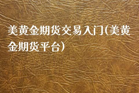 美黄金期货交易入门(美黄金期货平台)_https://www.zztgc.com_期货直播_第1张