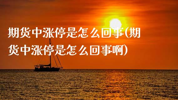 期货中涨停是怎么回事(期货中涨停是怎么回事啊)_https://www.zztgc.com_期货开户_第1张