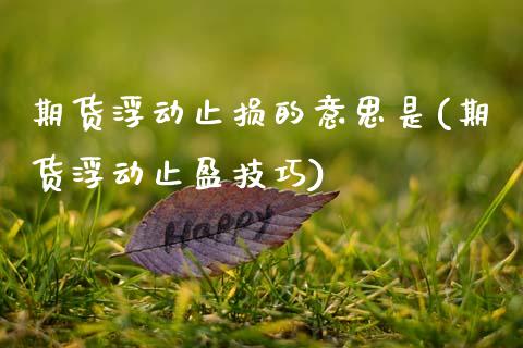 期货浮动止损的意思是(期货浮动止盈技巧)_https://www.zztgc.com_期货直播_第1张