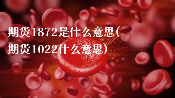 期货1872是什么意思(期货1022什么意思)_https://www.zztgc.com_期货直播_第1张