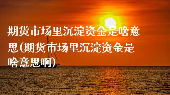 期货市场里沉淀资金是啥意思(期货市场里沉淀资金是啥意思啊)_https://www.zztgc.com_原油期货_第1张