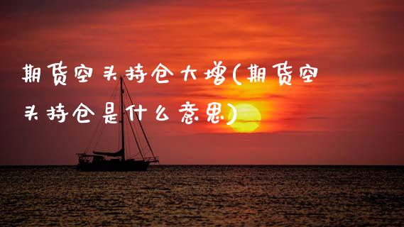 期货空头持仓大增(期货空头持仓是什么意思)_https://www.zztgc.com_黄金期货_第1张