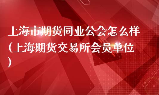 上海市期货同业公会怎么样(上海期货交易所会员单位)_https://www.zztgc.com_原油期货_第1张