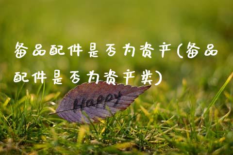 备品配件是否为资产(备品配件是否为资产类)_https://www.zztgc.com_期货入门_第1张