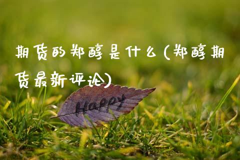 期货的郑醇是什么(郑醇期货最新评论)_https://www.zztgc.com_期货行情_第1张