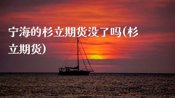 宁海的杉立期货没了吗(杉立期货)_https://www.zztgc.com_期货行情_第1张