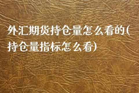 外汇期货持仓量怎么看的(持仓量指标怎么看)_https://www.zztgc.com_原油期货_第1张