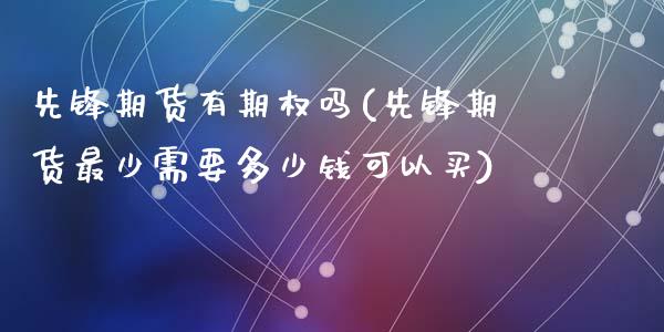 先锋期货有期权吗(先锋期货最少需要多少钱可以买)_https://www.zztgc.com_期货直播_第1张