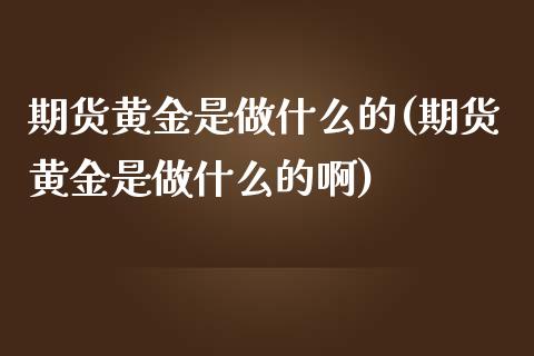 期货黄金是做什么的(期货黄金是做什么的啊)_https://www.zztgc.com_期货入门_第1张