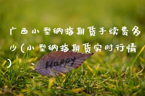 广西小型纳指期货手续费多少(小型纳指期货实时行情)_https://www.zztgc.com_期货入门_第1张