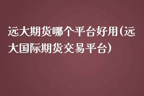 远大期货哪个平台好用(远大国际期货交易平台)_https://www.zztgc.com_期货入门_第1张