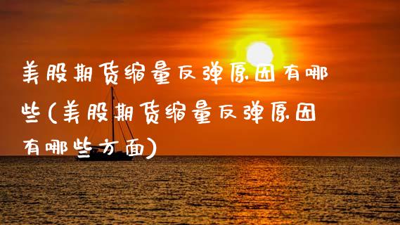 美股期货缩量反弹原因有哪些(美股期货缩量反弹原因有哪些方面)_https://www.zztgc.com_期货行情_第1张