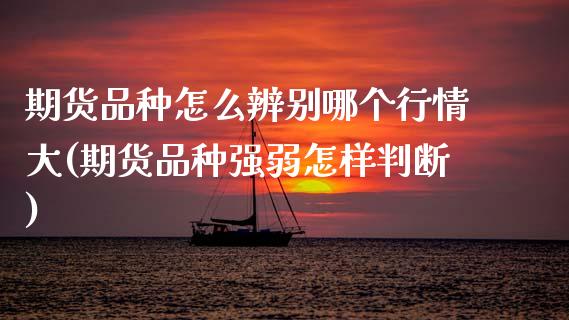 期货品种怎么辨别哪个行情大(期货品种强弱怎样判断)_https://www.zztgc.com_期货直播_第1张