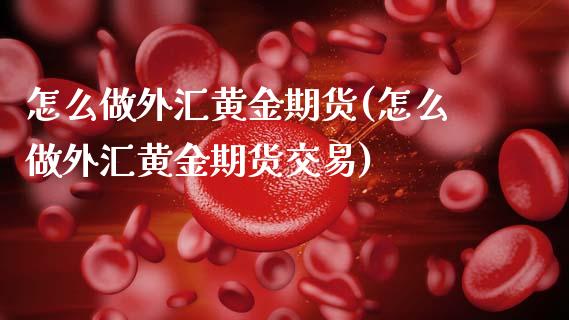 怎么做外汇黄金期货(怎么做外汇黄金期货交易)_https://www.zztgc.com_期货入门_第1张