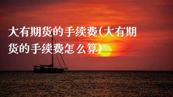 大有期货的手续费(大有期货的手续费怎么算)_https://www.zztgc.com_原油期货_第1张