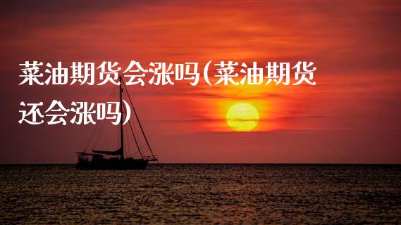 菜油期货会涨吗(菜油期货还会涨吗)_https://www.zztgc.com_期货直播_第1张