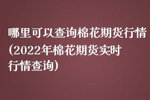 哪里可以查询棉花期货行情(2022年棉花期货实时行情查询)_https://www.zztgc.com_期货行情_第1张