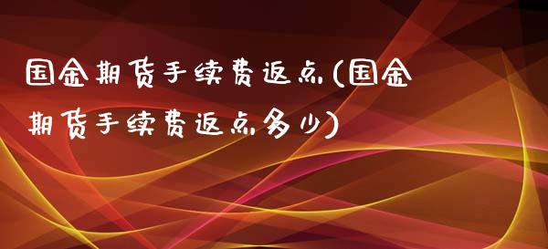 国金期货手续费返点(国金期货手续费返点多少)_https://www.zztgc.com_黄金期货_第1张