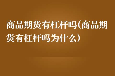 商品期货有杠杆吗(商品期货有杠杆吗为什么)_https://www.zztgc.com_期货入门_第1张