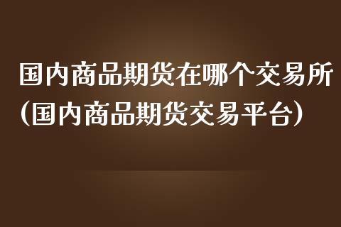国内商品期货在哪个交易所(国内商品期货交易平台)_https://www.zztgc.com_期货开户_第1张