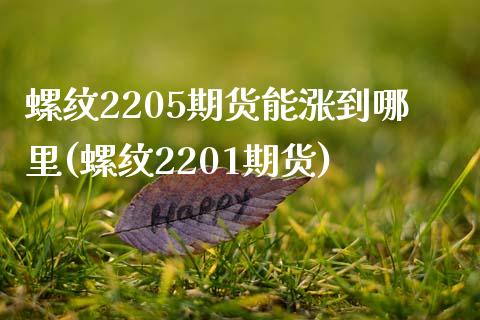 螺纹2205期货能涨到哪里(螺纹2201期货)_https://www.zztgc.com_原油期货_第1张