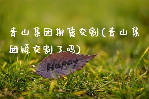 青山集团期货交割(青山集团镍交割了吗)_https://www.zztgc.com_期货行情_第1张