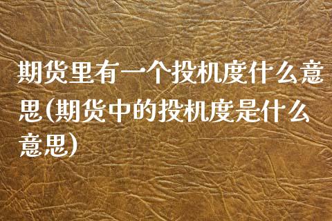 期货里有一个投机度什么意思(期货中的投机度是什么意思)_https://www.zztgc.com_期货行情_第1张