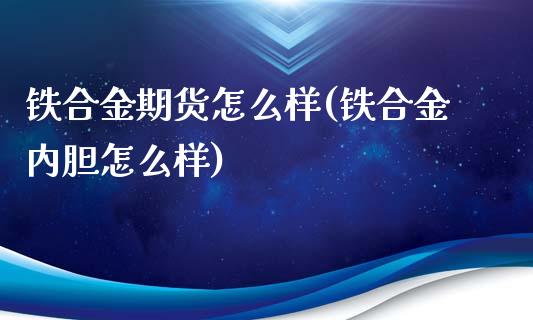 铁合金期货怎么样(铁合金内胆怎么样)_https://www.zztgc.com_期货直播_第1张