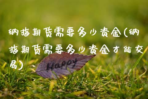 纳指期货需要多少资金(纳指期货需要多少资金才能交易)_https://www.zztgc.com_黄金期货_第1张