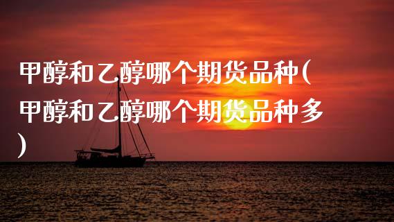 甲醇和乙醇哪个期货品种(甲醇和乙醇哪个期货品种多)_https://www.zztgc.com_期货行情_第1张