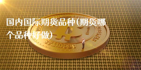 国内国际期货品种(期货哪个品种好做)_https://www.zztgc.com_期货入门_第1张
