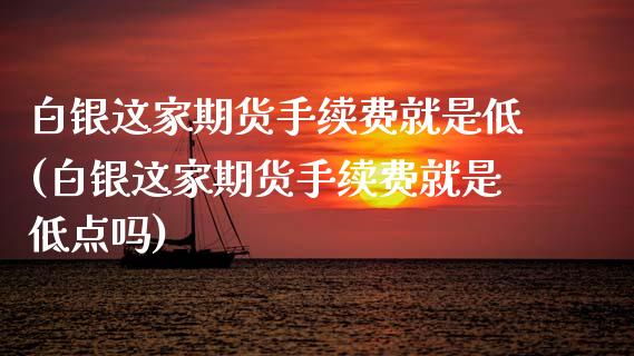 白银这家期货手续费就是低(白银这家期货手续费就是低点吗)_https://www.zztgc.com_期货直播_第1张