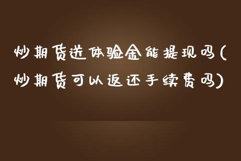 炒期货送体验金能提现吗(炒期货可以返还手续费吗)_https://www.zztgc.com_原油期货_第1张