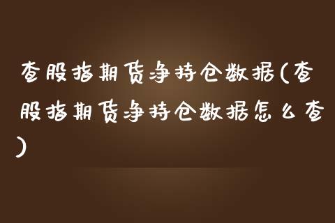 查股指期货净持仓数据(查股指期货净持仓数据怎么查)_https://www.zztgc.com_期货直播_第1张