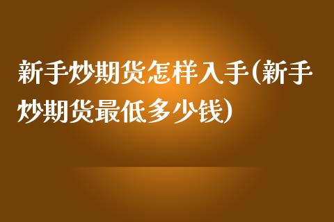 新手炒期货怎样入手(新手炒期货最低多少钱)_https://www.zztgc.com_原油期货_第1张