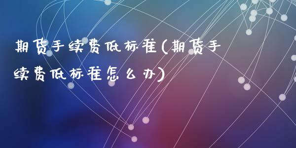期货手续费低标准(期货手续费低标准怎么办)_https://www.zztgc.com_期货入门_第1张