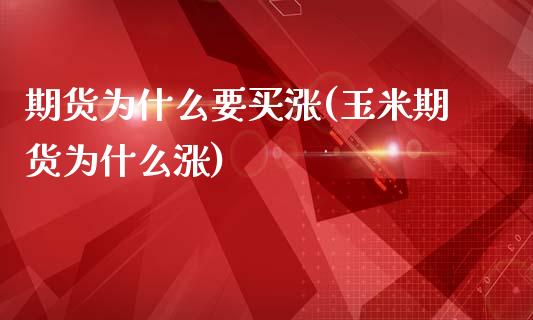 期货为什么要买涨(玉米期货为什么涨)_https://www.zztgc.com_期货直播_第1张