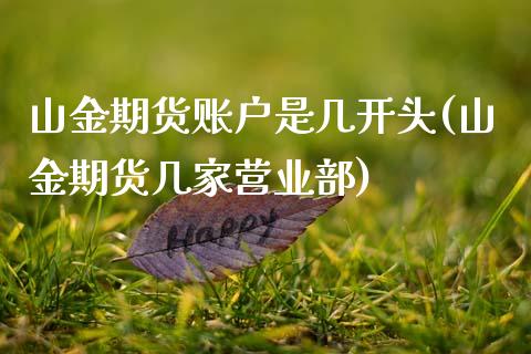 山金期货账户是几开头(山金期货几家营业部)_https://www.zztgc.com_原油期货_第1张