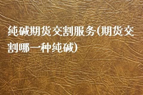 纯碱期货交割服务(期货交割哪一种纯碱)_https://www.zztgc.com_期货入门_第1张